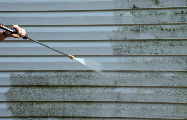 Best Roof Pressure Washing  in North Pekin, IL